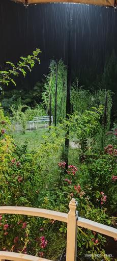 عکس باغ آکسارای