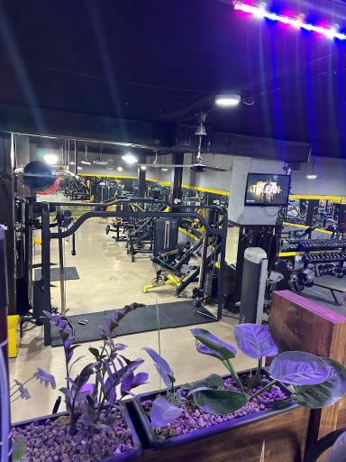 عکس باشگاه ورزشی ضربان