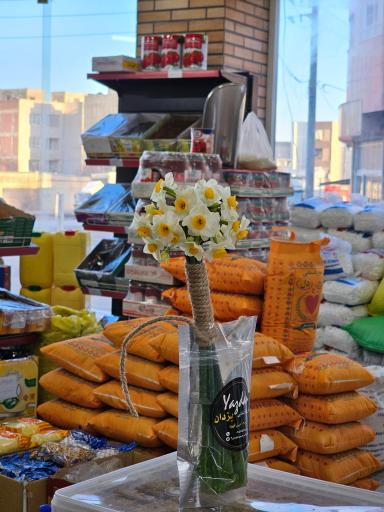 پخش مواد غذایی یزدان