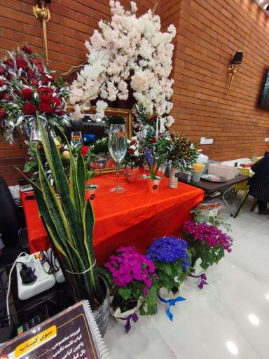 عکس جگرکی جیگر میگر