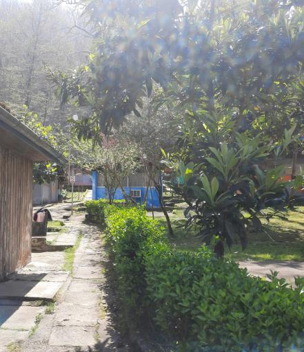 عکس مجتمع ایرانگردی و جهانگردی چالوس