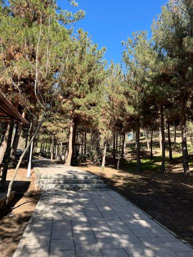 عکس بوستان جنگلی یاس فاطمی جنوبی