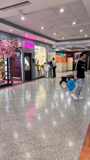 عکس برج سلمان