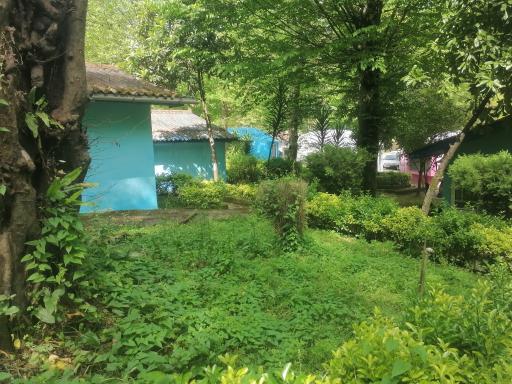 عکس مجتمع ایرانگردی و جهانگردی چالوس