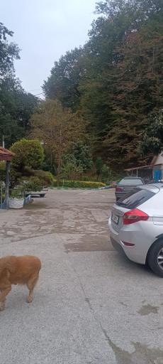 عکس مجتمع ایرانگردی و جهانگردی چالوس