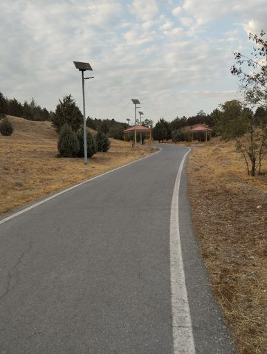 عکس بوستان جنگلی یاس فاطمی جنوبی