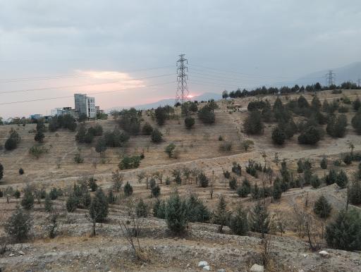 عکس بوستان جنگلی یاس فاطمی جنوبی