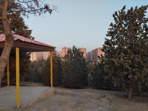 عکس بوستان جنگلی یاس فاطمی جنوبی