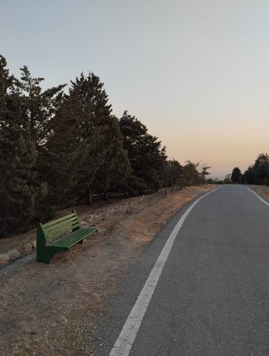 عکس بوستان جنگلی یاس فاطمی جنوبی