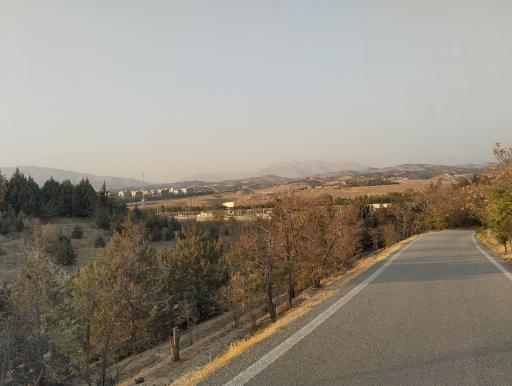 عکس بوستان جنگلی یاس فاطمی جنوبی