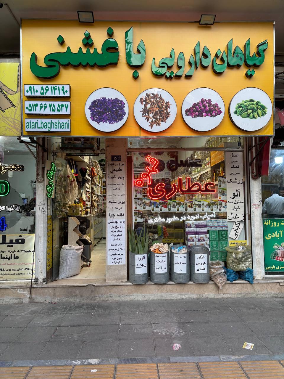 عکس گیاهان دارویی باغشنی 