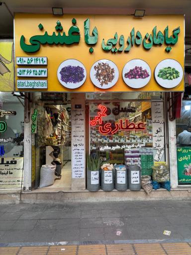 عکس گیاهان دارویی باغشنی 