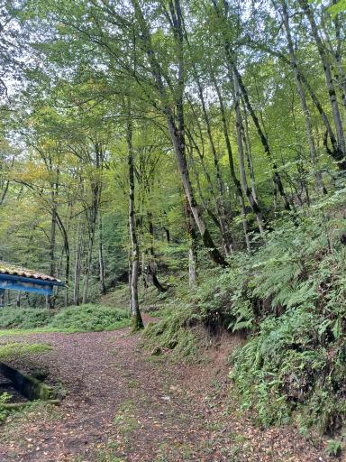 عکس مجتمع ایرانگردی و جهانگردی چالوس