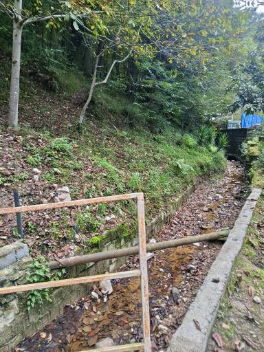 عکس مجتمع ایرانگردی و جهانگردی چالوس