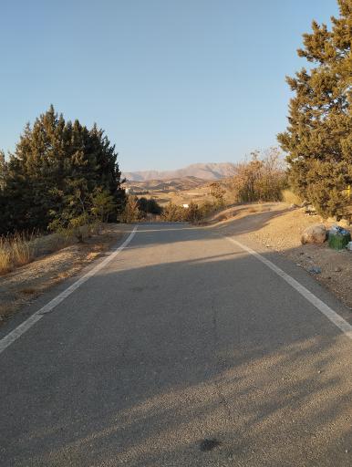 عکس بوستان جنگلی یاس فاطمی جنوبی