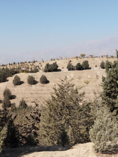 عکس بوستان جنگلی یاس فاطمی جنوبی