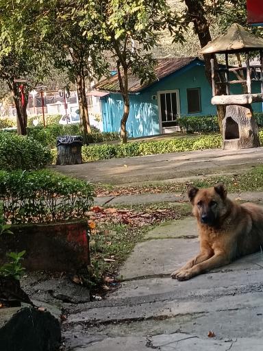 عکس مجتمع ایرانگردی و جهانگردی چالوس