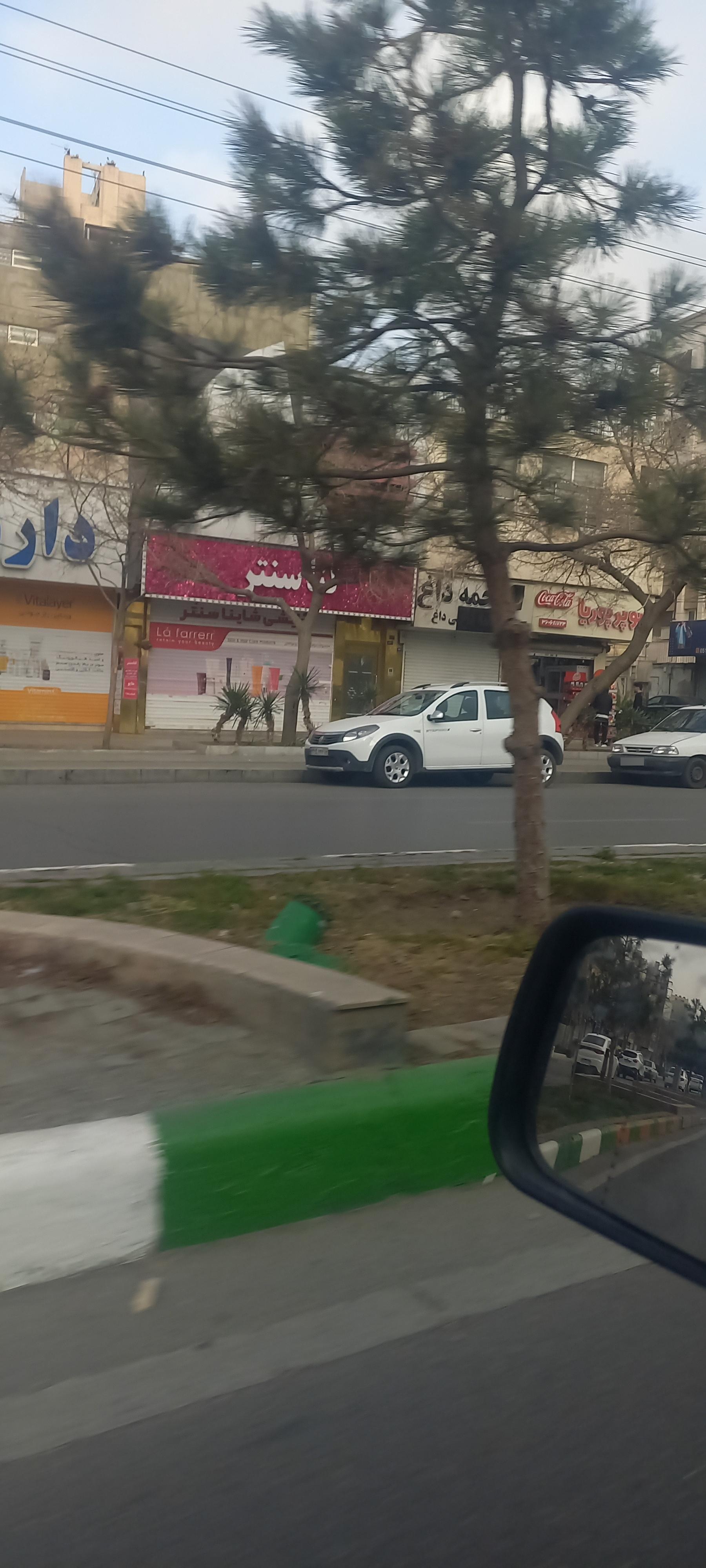 عکس تخمه داغ