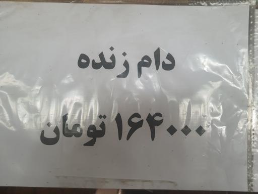 عکس جایگاه عرضه بهداشتی دام زنده شهرداری(کشتارگاه شهرداری)