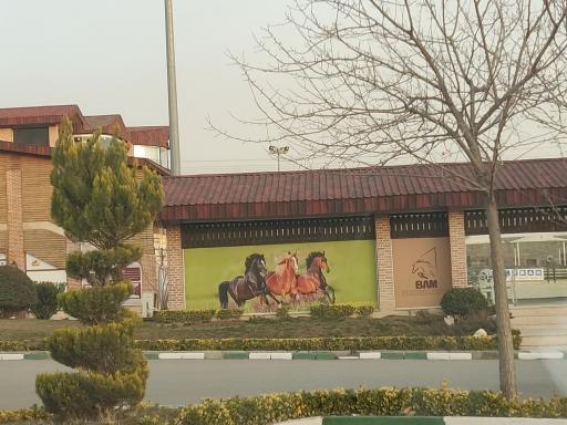 عکس باشگاه سوارکاری بام