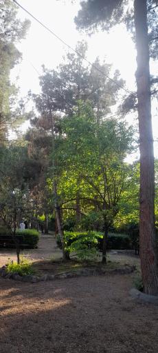 عکس پارک خانواده زیبادشت