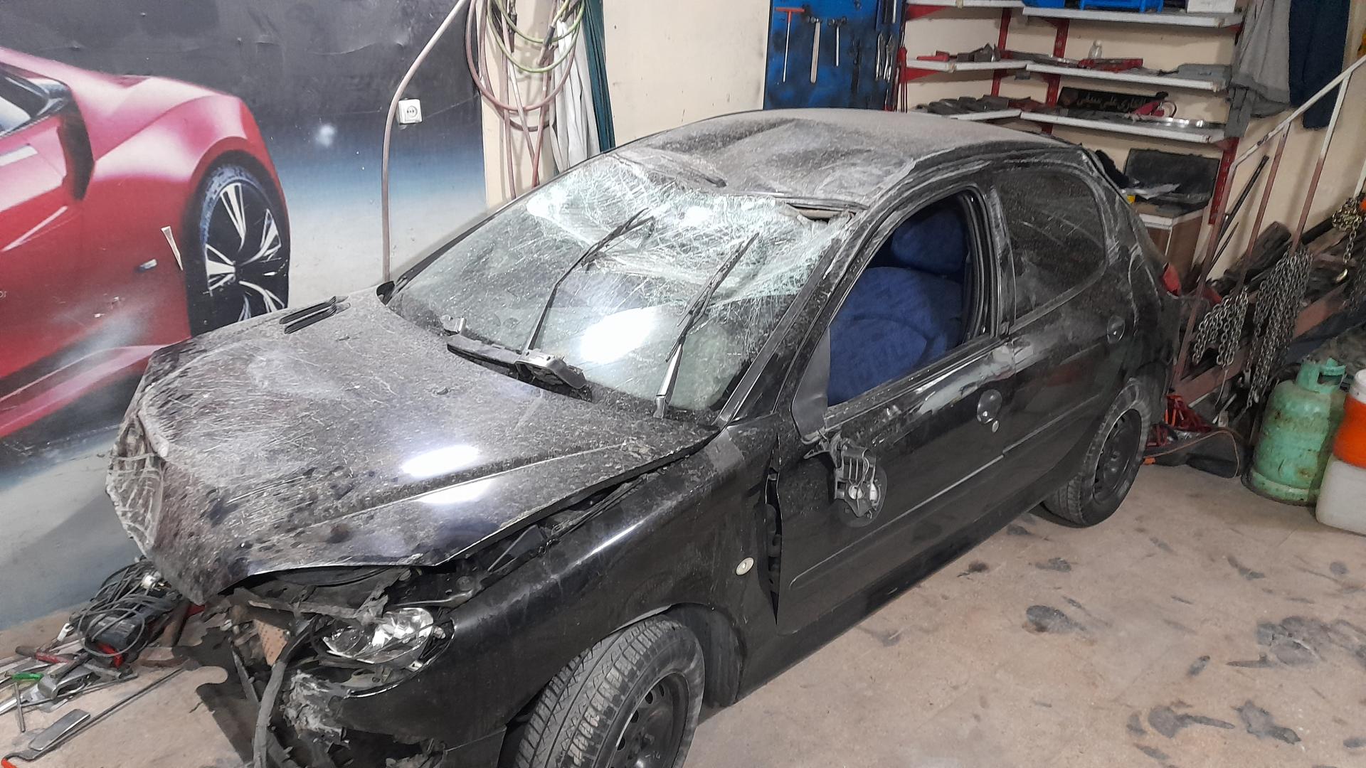 عکس صافکاری و نقاشی علی سیفی 