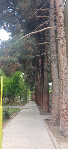 عکس بوستان باغ گل