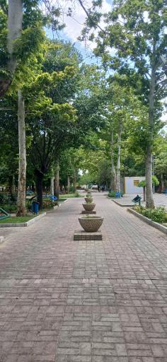 عکس بوستان باغ گل