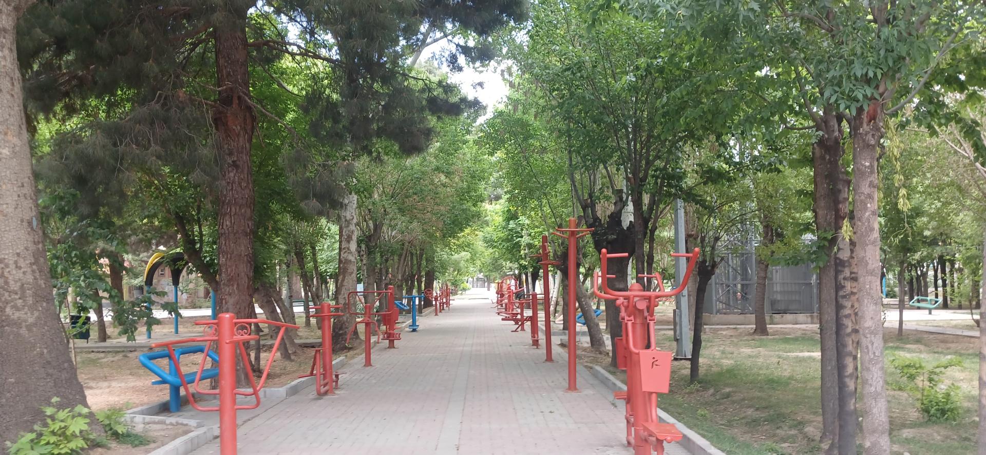 عکس بوستان باغ گل