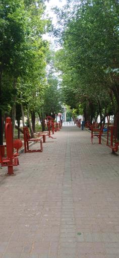 عکس بوستان باغ گل