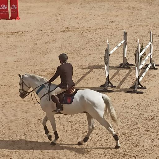 عکس باشگاه سوارکاری بام