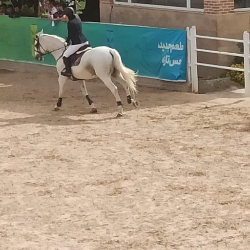 عکس باشگاه سوارکاری بام