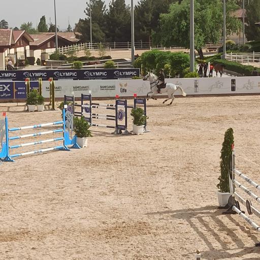 عکس باشگاه سوارکاری بام