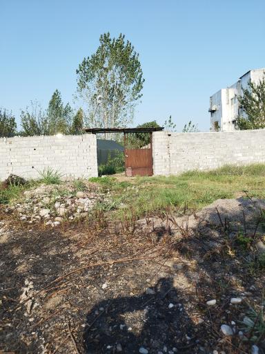 عکس نهالستان و گلخانه جهانیان