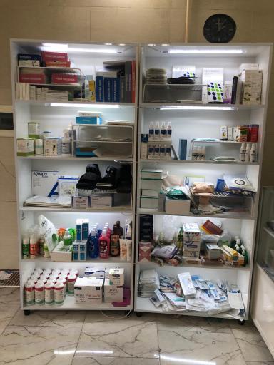 عکس پانسمان نوین