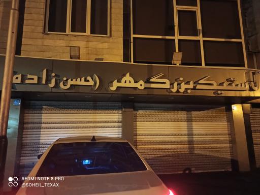 لاستیک بزرگمهر حسن زاده 