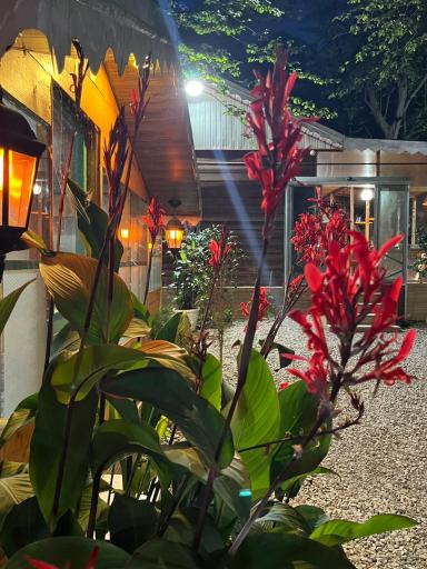 عکس کافه رستوران مه آلود