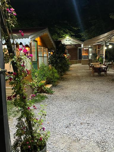 عکس کافه رستوران مه آلود