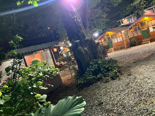 عکس کافه رستوران مه آلود