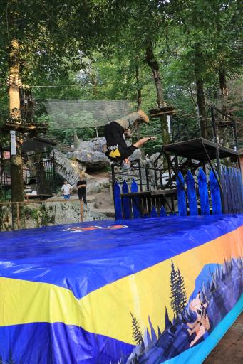 عکس مجموعه جی مکس