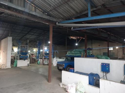 شالیکوبی تک پخت طاهری 