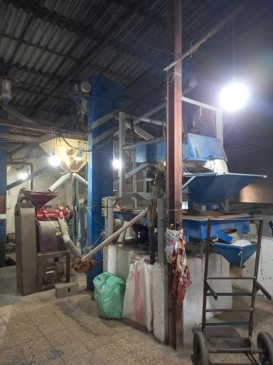 شالیکوبی تک پخت طاهری 