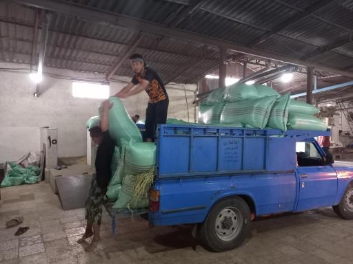 شالیکوبی تک پخت طاهری 