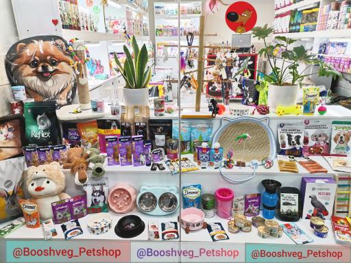 عکس پت شاپ بوشوگ