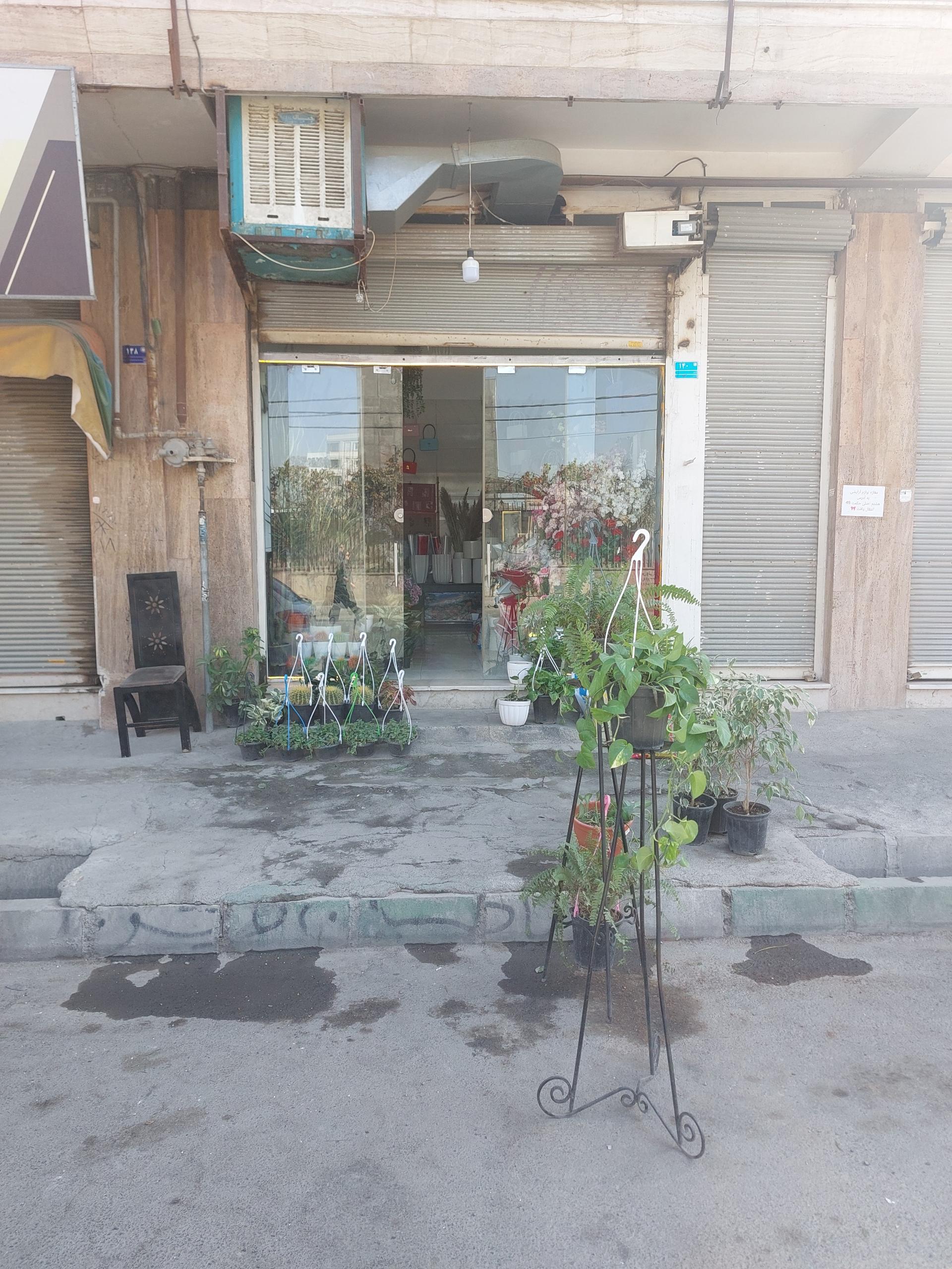 عکس گل فروشی رزسرا