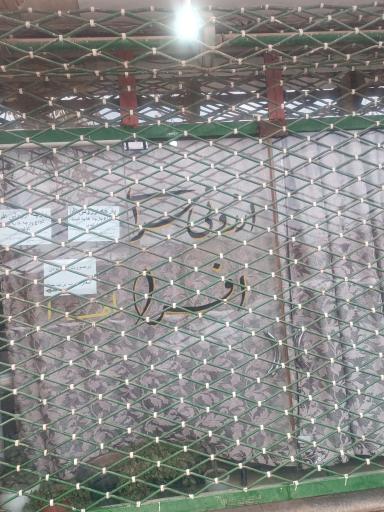 پارچه سرای افرا