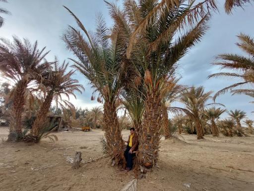 عکس اجاره آفرود گردشگری کویر مرنجاب