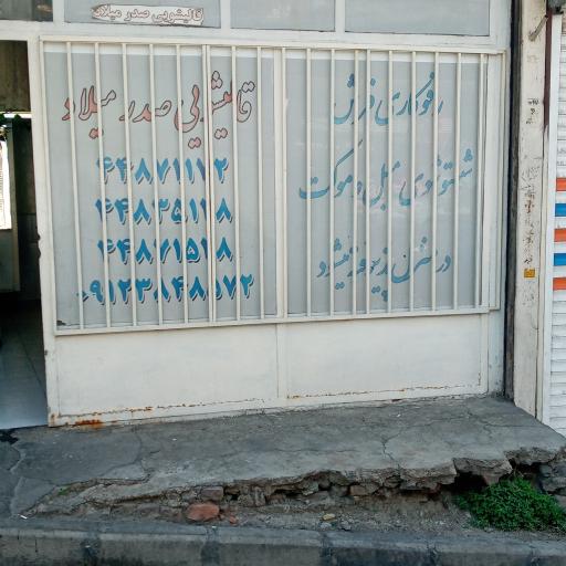 عکس قالی شویی صدر میلاد