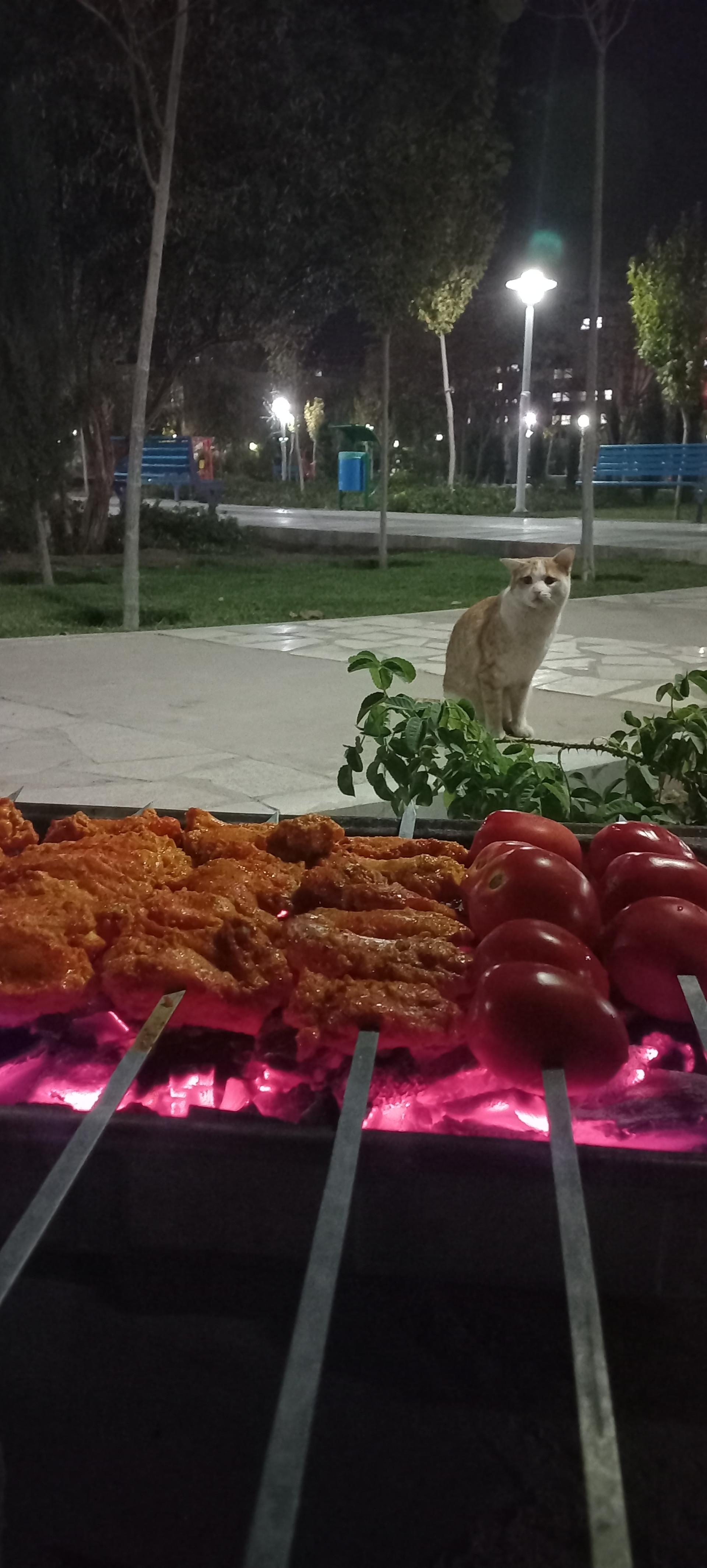 عکس بوستان کتاب