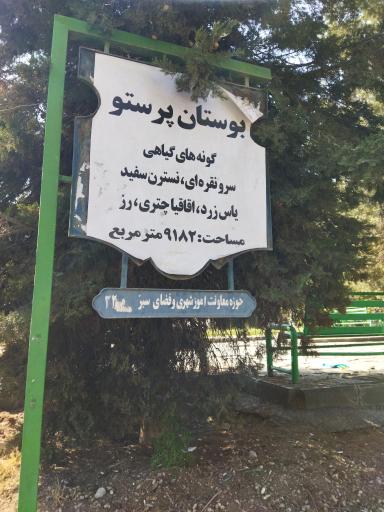 عکس بوستان پرستو 2